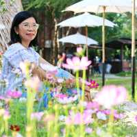Sabaydee Cafe & Farm I สบายดี คาเฟ่ & ฟาร์ม