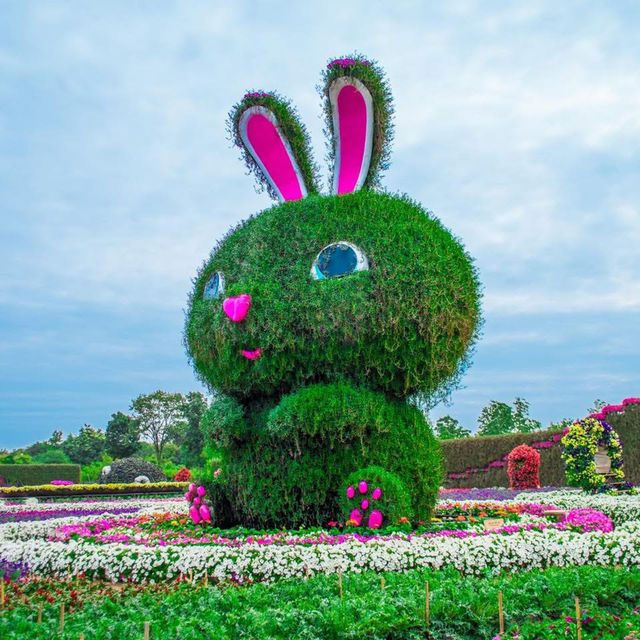   สวนเมเปิ้ล สวนดอกไม้ที่กำลังบานสวยวิวสุดอลังการ