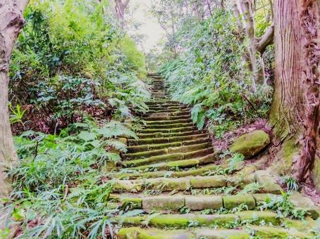 鎌倉🇯🇵瑞泉寺