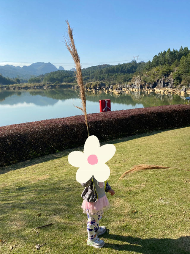 落羽杉與溫泉。森呼吸
