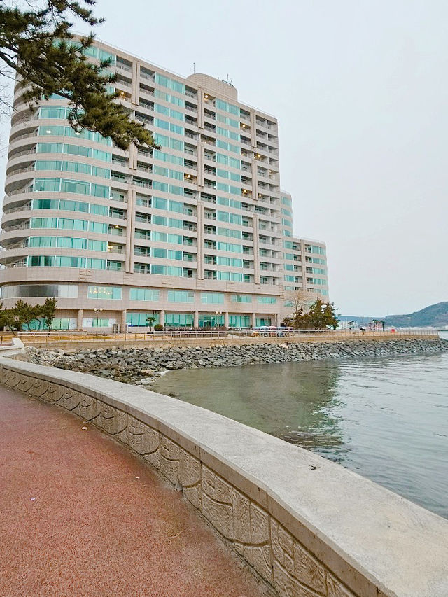 겨울 국내 여행지와 리조트 추천🇰🇷