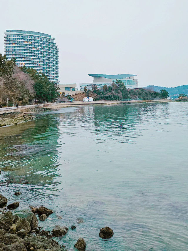 겨울 국내 여행지와 리조트 추천🇰🇷