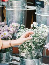 JULIET.cnx
