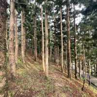 Breathe in the Beauty of Taman Saujana Hijau Putrajaya 