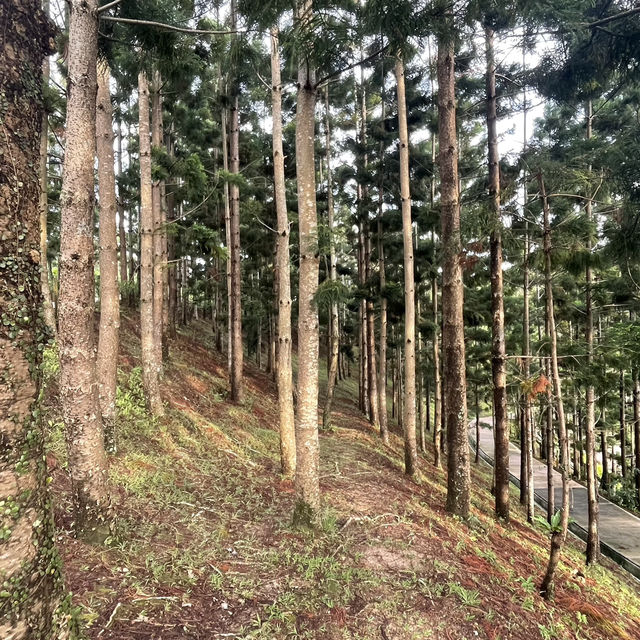 Breathe in the Beauty of Taman Saujana Hijau Putrajaya 