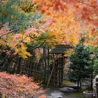 上田公園-黃金畫廊