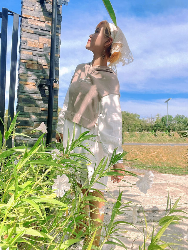 ลานปัง-นมสด