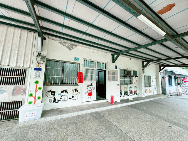 🐾 猴硐貓村：心靈的洗滌之旅 🌿