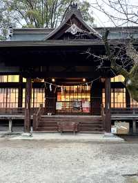 【熊本大神宮】