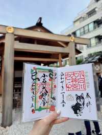 【東京】看板犬こいしちゃんに会いに行きたい🤍毎月行きたい神社⛩✨