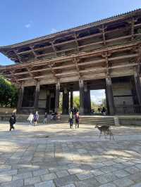 Todaiji Temple: Awe-Inspiring Temple