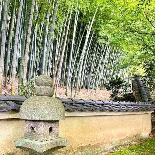 Adashino Nenbutsuji Temple