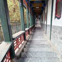 秋日的香山：风景如画，红叶如诗