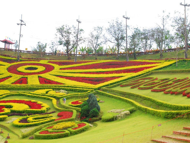 Mae Salong Flower Hills ดอยหมอก ดอกไม้ รีสอร์ท
