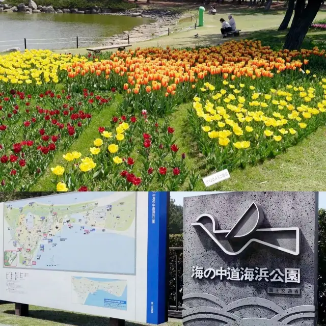 Fukuoka Attractions