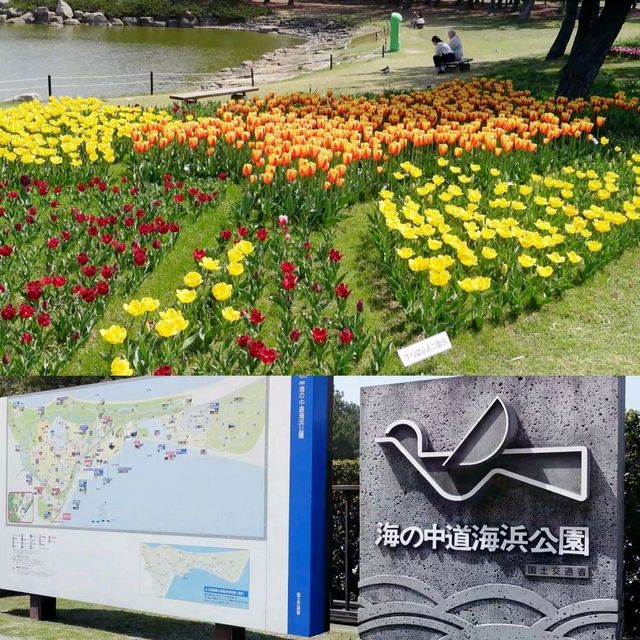 福岡好去處