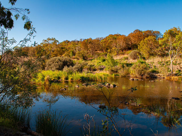 Chasing Serenity at Buckley Falls Lookout