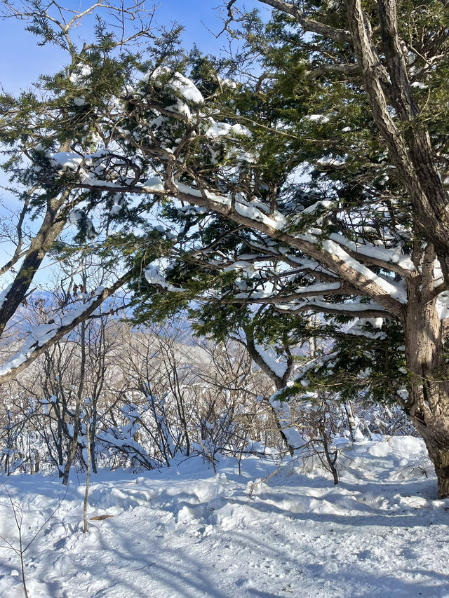 설날에 가기 좋은 국내여행지