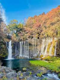 【静岡県】大迫力‼️数百の絹糸のような滝✨