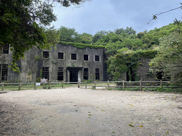 無比療癒的兔子島-大久野島