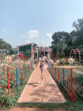 December Garden at Pyin Oo Lwin 