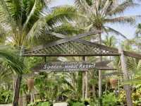 A Hidden Paradise Beyond the Waves: Sipadan-Mabul Resort