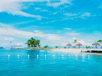 セブ島人気リゾート🏝️実際どうだった？