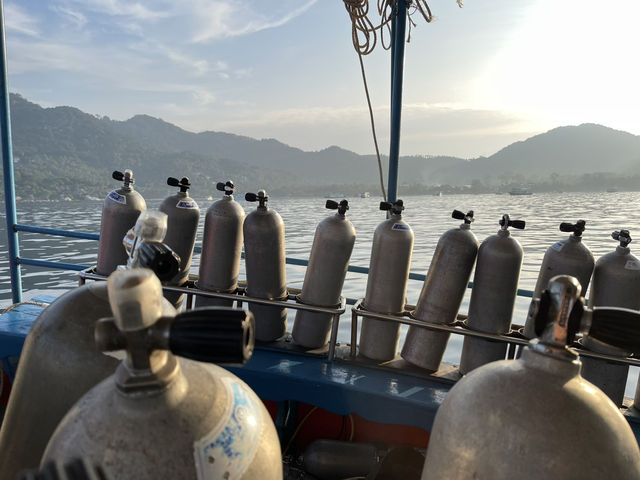 Curious about scuba diving? Go to Koh Tao🏝️🇹🇭