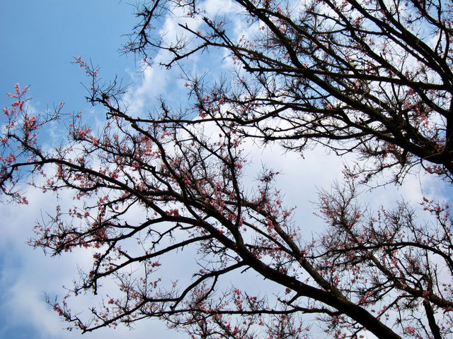 Step Back in Time in the Heart of Seoul: Bukchon Hanok Village
