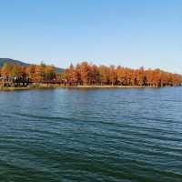 金鐘湖公園•靈氣山水