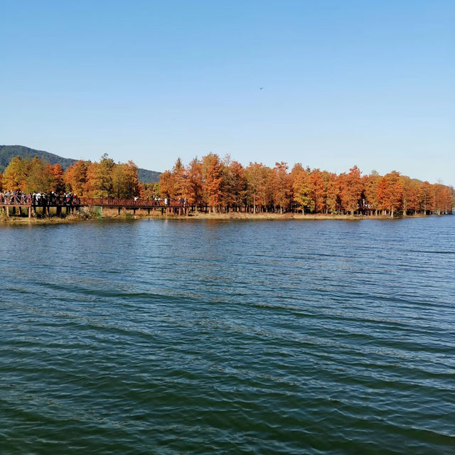金鐘湖公園•靈氣山水