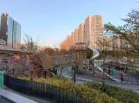 香港過新年：茶果嶺海濱公園觀日落