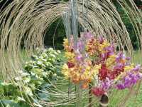 Nature in the City: Exploring Hong Kong Zoo and Botanical Gardens