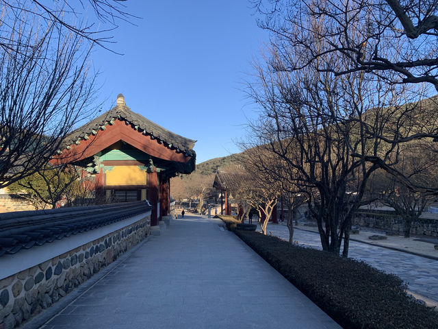 겨울이 깊어지면 고요하고 평화로운 느낌이 드는 곳, 통도사