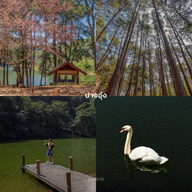🌿 10 เช็คลิสต์ เที่ยวบ้านรักไทย แม่ฮ่องสอน 🌿