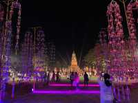 งานพระธาตุยาคู