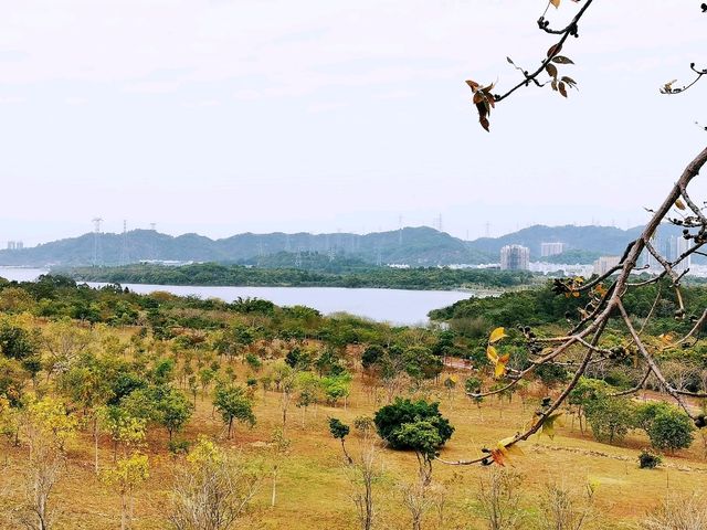 陌上花園浪漫花海