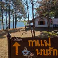 กาแฟ...พบรัก ภูหินร่องกล้า