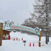 Forget about Hokkaido, come here instead!! 