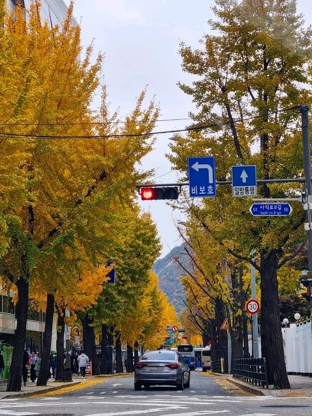 가을에 가장 아름다운 서울동네💛