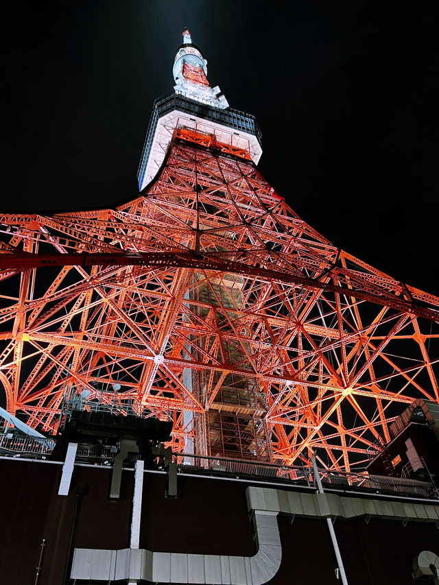 Tokyo Tower Stands Tall and Proud in Minato
