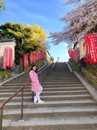 Osaka in Bloom: 2-Day Cherry Blossom Adventure & Universal Studios Magic