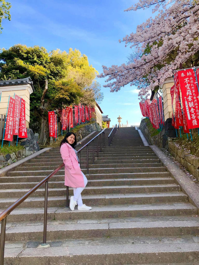 Osaka in Bloom: 2-Day Cherry Blossom Adventure & Universal Studios Magic