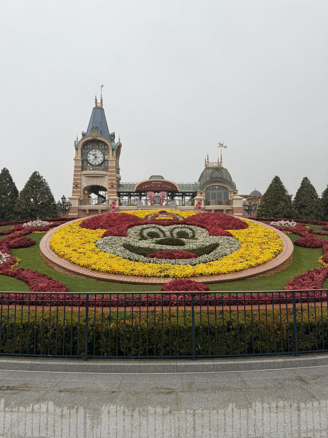 Overnight in Shanghai means Disney