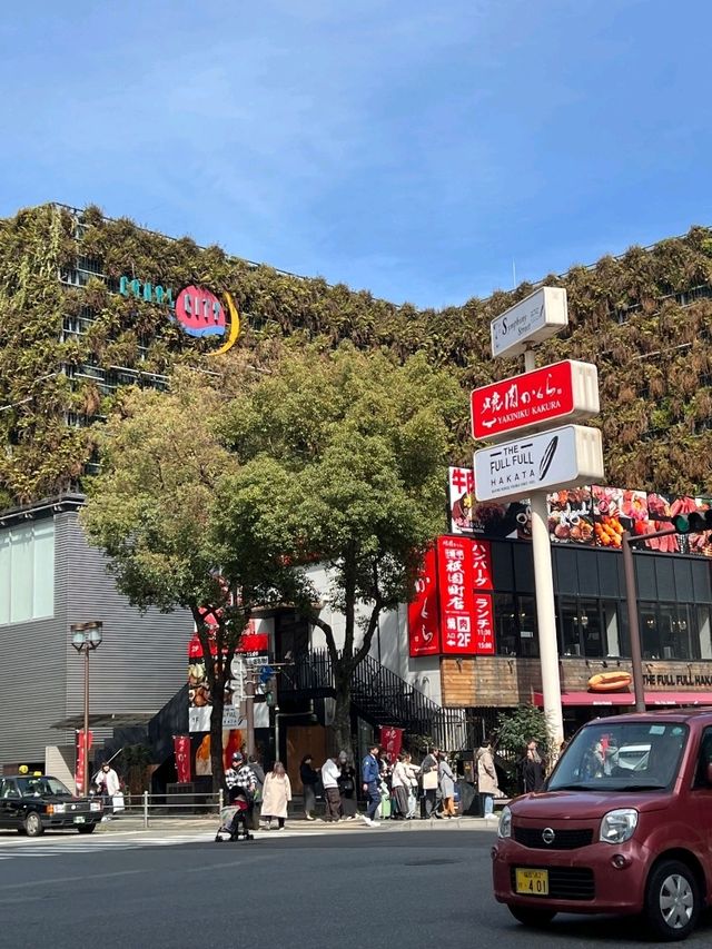 🌄 일본의 웅장함과 맛, 후지산 & 가라토 시장 탐방