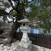 Dazaifu Tenmangu Shrine