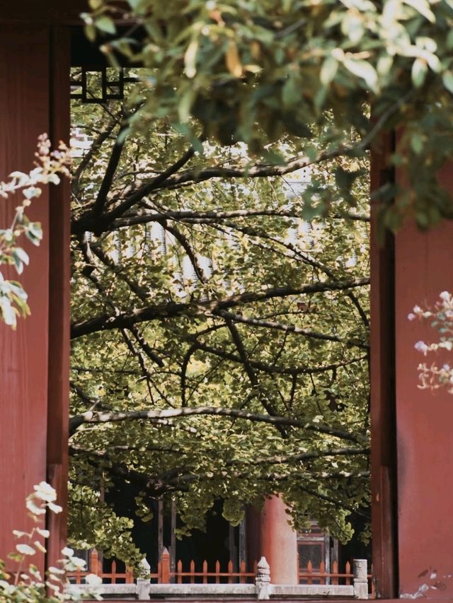 📍YuanTong Ancient City 