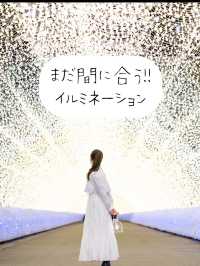 国内最大級の煌めき『なばなの里 イルミネーション』💡