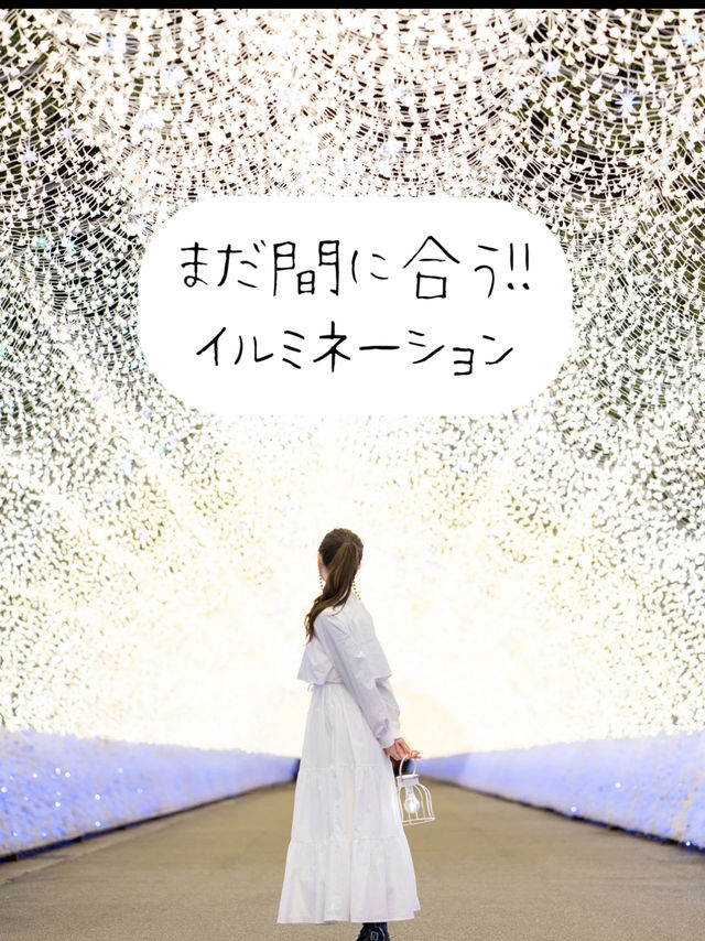 国内最大級の煌めき『なばなの里 イルミネーション』💡