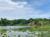 Luoshui Wetland Park: An Ecological and Cultural Haven